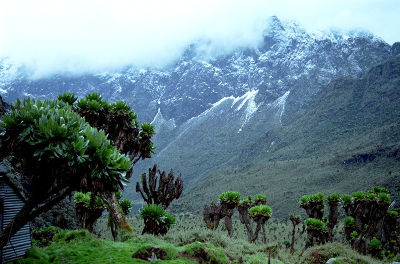 The Rwenzori Mountains